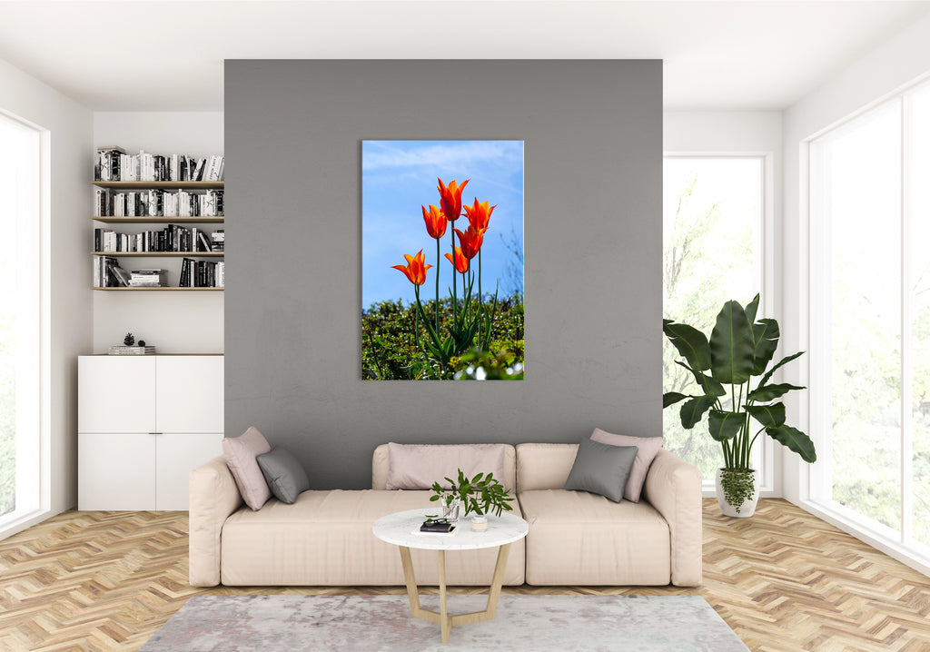 Ein helles Wohnimmer. Links ein Regal mit Büchern, mittig eine moderne Couch und ein Couchtisch vor einer hellgrauen Wand. Rechts eine große Topfpflanze vor Eckfenstern. Über dem Sofa hängt ein Leinwandbild mit orangen Tulpen vor blauem Himmel.